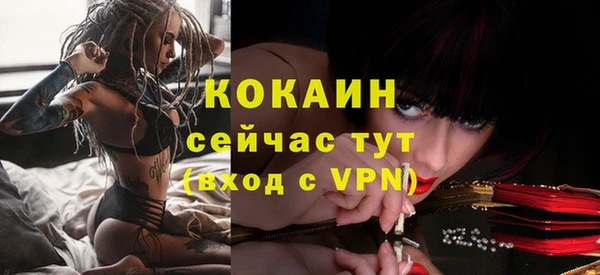 мяу мяу кристалл Гусь-Хрустальный