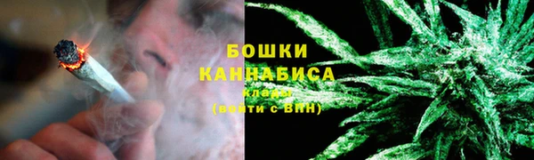 мяу мяу кристалл Гусь-Хрустальный