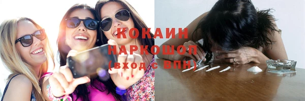 сатива Гусиноозёрск