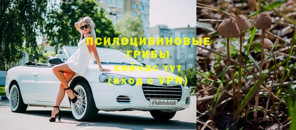 сатива Гусиноозёрск