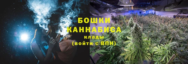 мяу мяу кристалл Гусь-Хрустальный