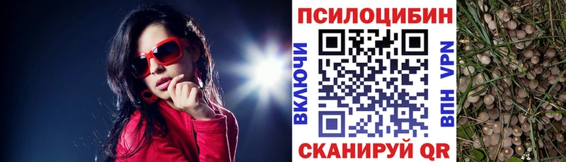 Псилоцибиновые грибы прущие грибы  блэк спрут как войти  Жирновск 
